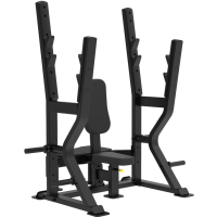 Скамья для жима от плеч (армейский жим) Impulse SL7031