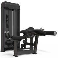 Сгибание ног AnyFit PE203-84