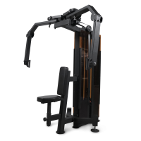 Баттерфляй/Задние дельты BRONZE GYM PARTNER ML-810