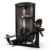 Разгибание спины INTENZA EASE EL-05