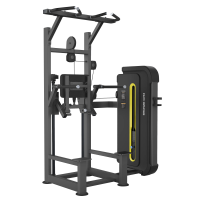 Гравитрон профессиональный BRONZE GYM BW-3009