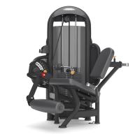 Разгибание ног  MATRIX Aura G3-S71