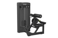 Разгибание спины Spirit SP-4310