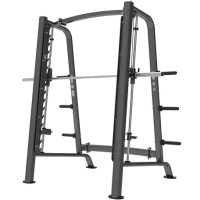 Машина Смита  BRONZE GYM PL-1721