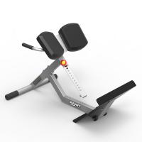 Гиперэкстензия KRAFT Fitness PL PRO KFTTABM