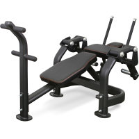 Пресс-скамья BRONZE GYM PL-1720