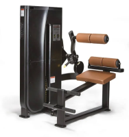 Разгибание спины LEXCO Falcon LS-122 Back Extension
