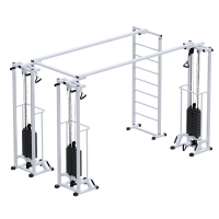 Биотонус-3+шведская стенка (стек 3х100кг) ARMS AR087.3х2400