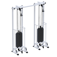 Биотонус-2 (стек 2х100кг) ARMS AR087.2х2400