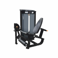 Разгибание ног сидя UltraGym UG-CL510